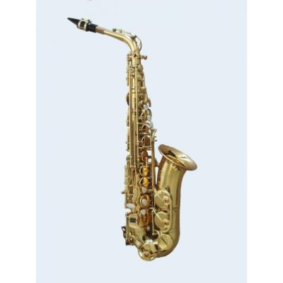Talent Eb Alto Saxophone Professional UP*